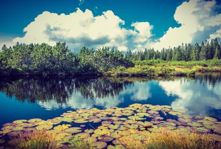 ծͳһϢ¶ծҪ˵顱